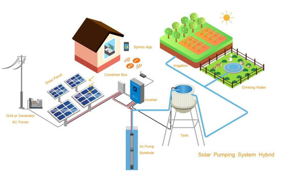 Αντλώντας σύστημα νερού ΣΥΝΕΧΟΥΣ δύναμης αβούρτσιστο ηλιακό για την αγροτική θέση